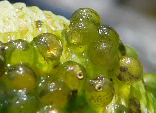 e0097534_16502830.jpg