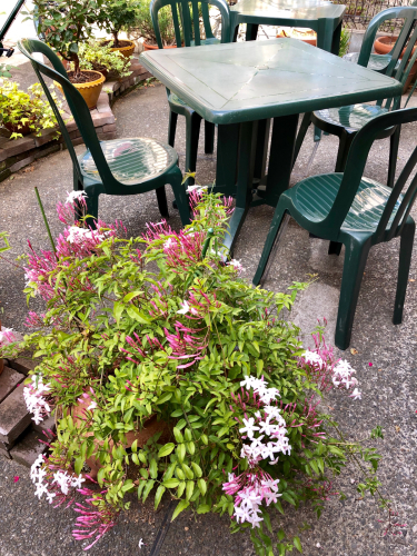 f0327534_07582619.jpg