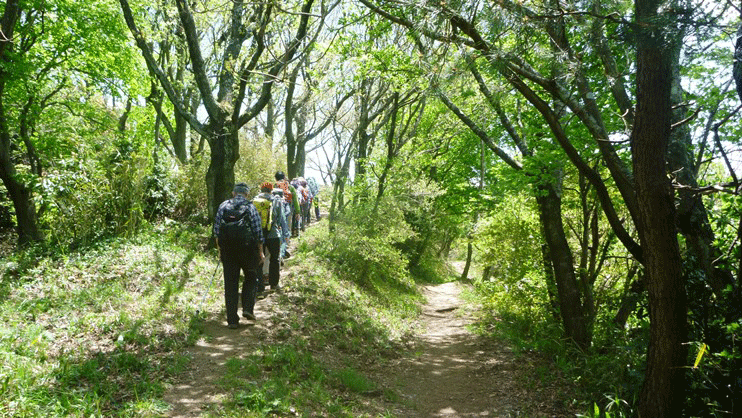 暗峠 くらがりとうげ 信貴山ロングハイキング ４月２７日 土 アルペン芦山 兵庫県芦屋の総合登山会 山行ブログ 17 1 19 6