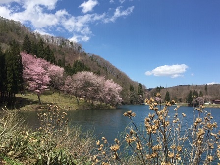 a0272241_11374058.jpeg