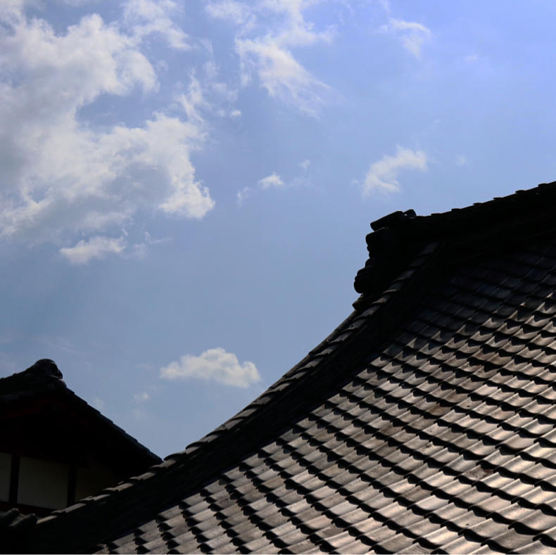 萩寺を写真散歩_c0060143_07544409.jpg