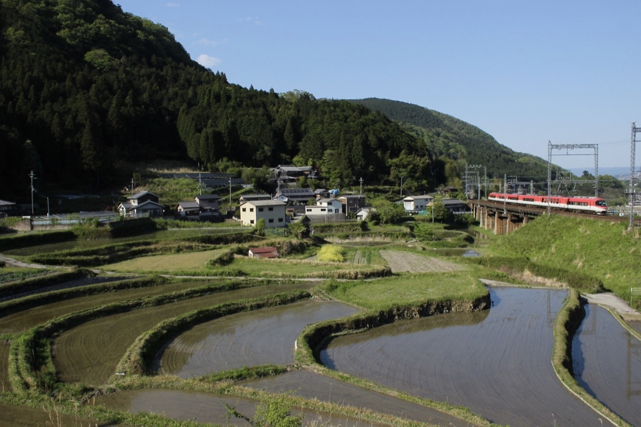 三本松の棚田で近鉄特急撮影_f0355843_22025297.jpeg