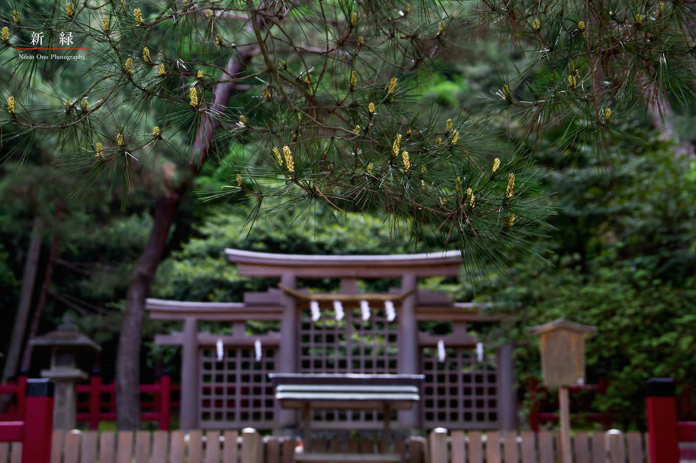 d0058445_07402977.jpg