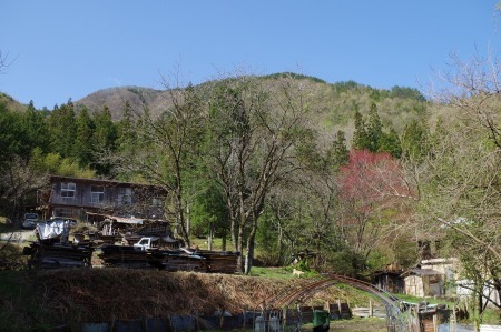 f0114346_06483698.jpg