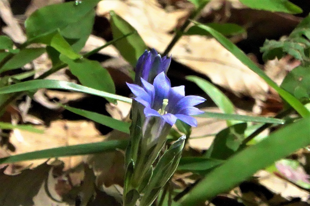 b0236251_15073143.jpg