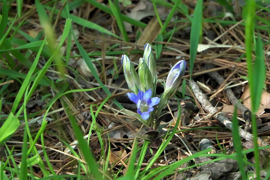 b0236251_15073479.jpg