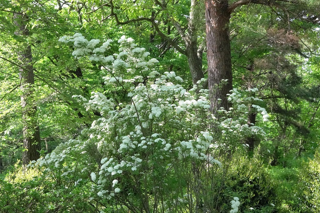 b0236251_15111650.jpg