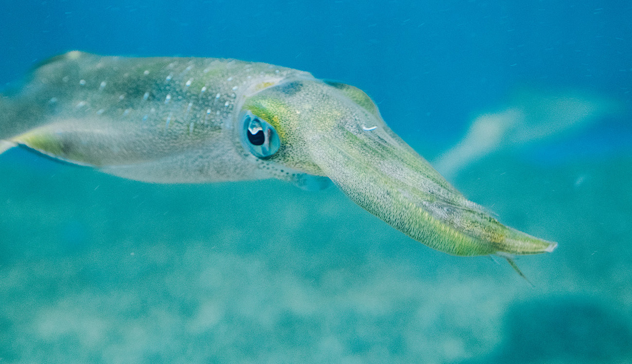 e0198253_17154242.jpg