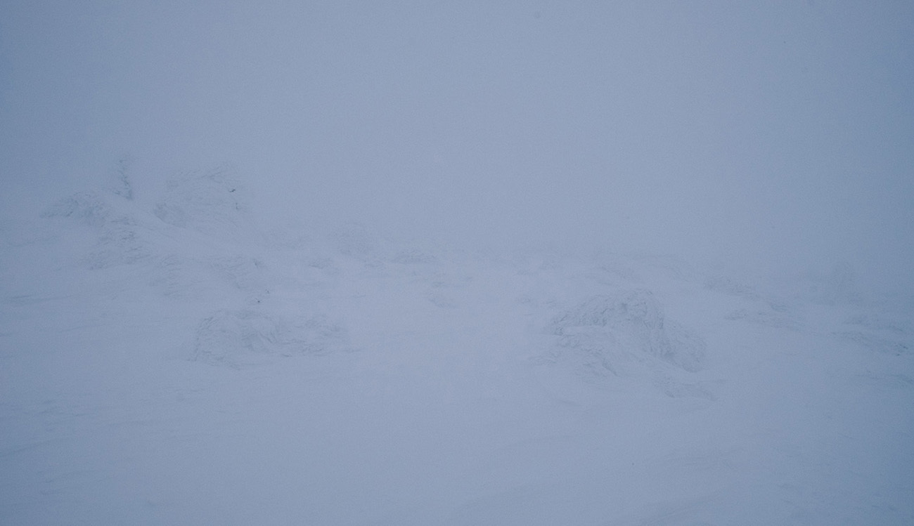 e0198253_23510393.jpg