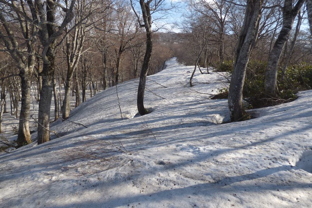c0294658_21194710.jpg