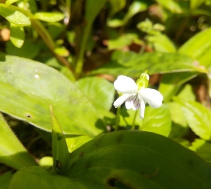 b0368362_07214410.jpg