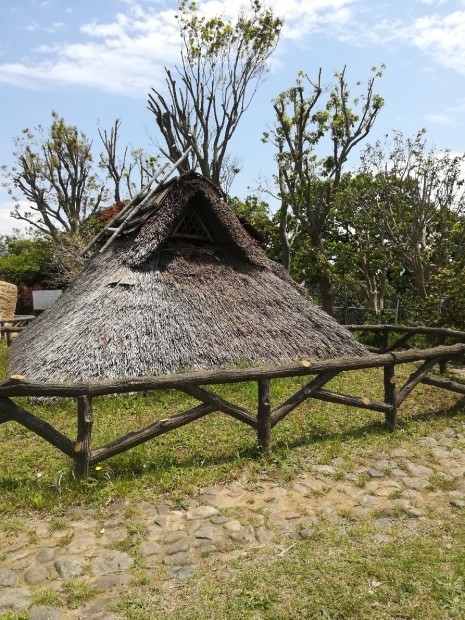 e0109163_17484227.jpg