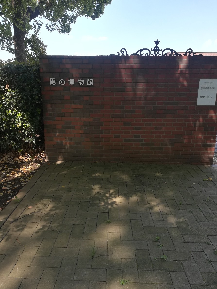 e0109163_17545973.jpg