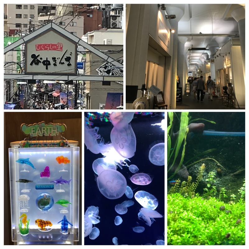 f0126363_10405956.jpeg