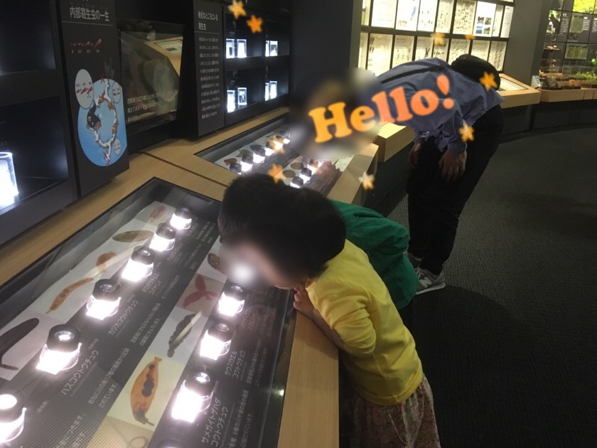 a0295764_23353135.jpeg