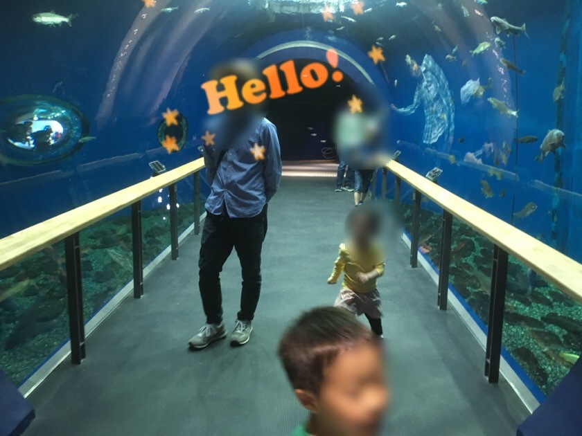 a0295764_23421747.jpeg