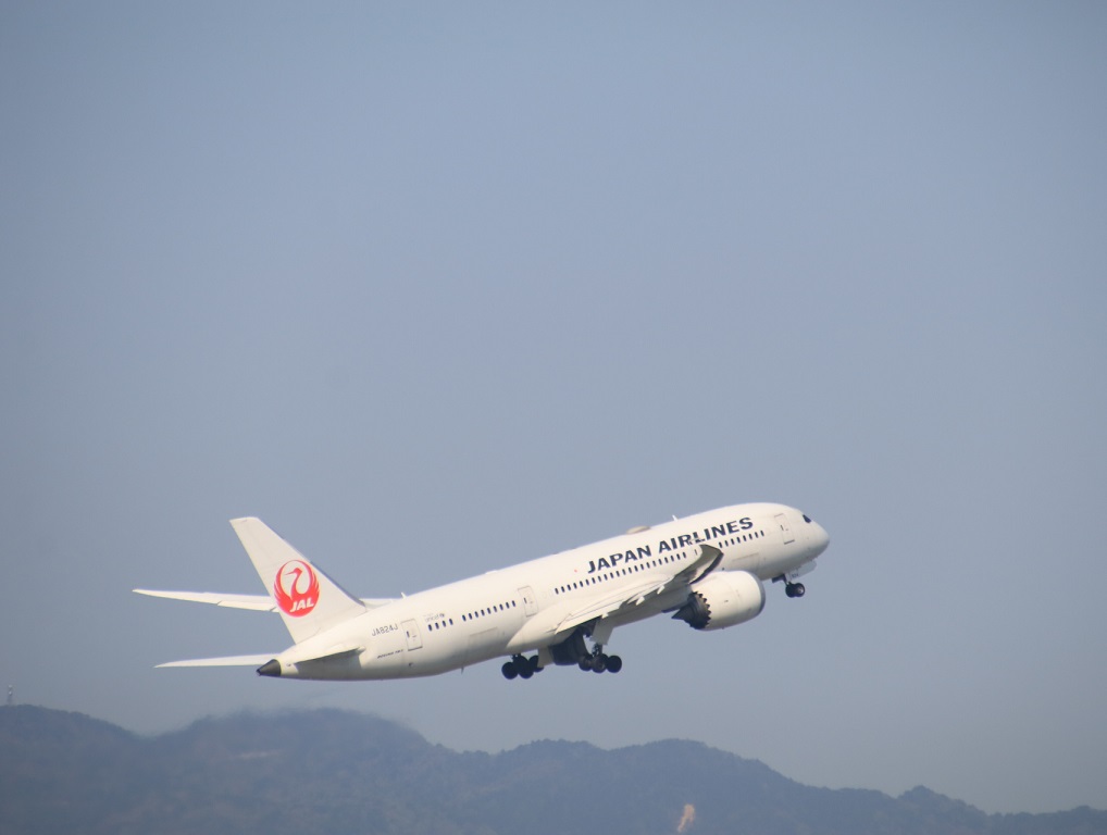JAL ボーイング787-8型 伊丹空港_d0202264_2138103.jpg