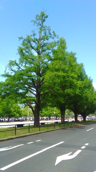 a0066965_22090361.jpg