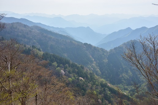 新緑と山桜の谷間を歩く　　般若岳_c0303868_08080328.jpg