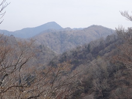 新緑と山桜の谷間を歩く　　般若岳_c0303868_08122575.jpg