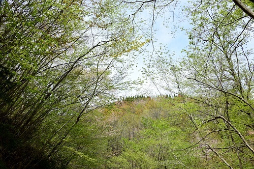 c0303868_08165211.jpg