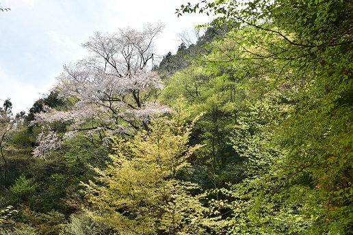 c0303868_08193284.jpg