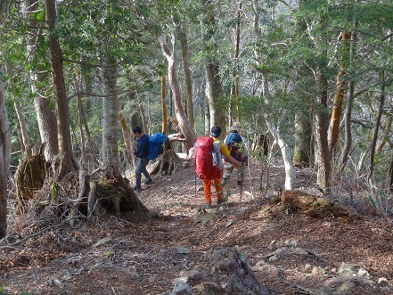 新緑と山桜の谷間を歩く　　般若岳_c0303868_08422194.jpg