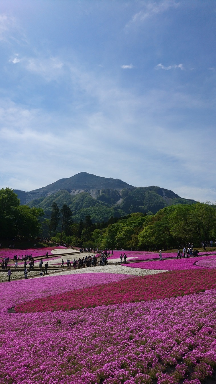 秩父・羊山公園の芝桜、飯能・ムーミンバレーパーク、府中くらやみまつり競馬式（こまくらべ） GW一日周遊_c0002171_03333809.jpg