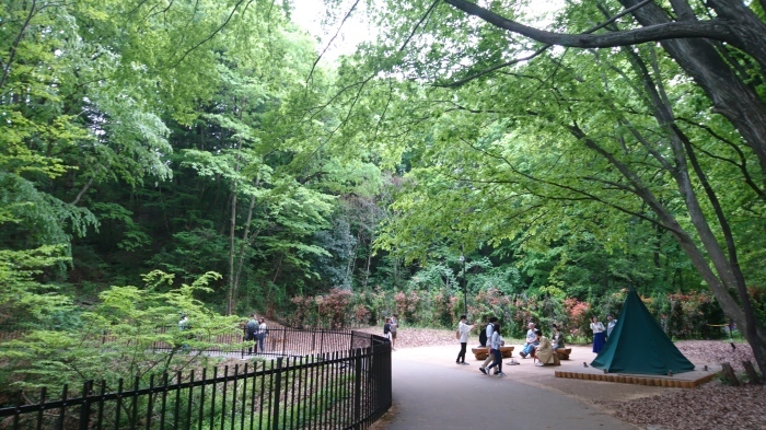 秩父・羊山公園の芝桜、飯能・ムーミンバレーパーク、府中くらやみまつり競馬式（こまくらべ） GW一日周遊_c0002171_03442412.jpg