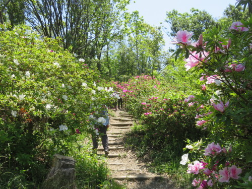 f0259373_16431292.jpg