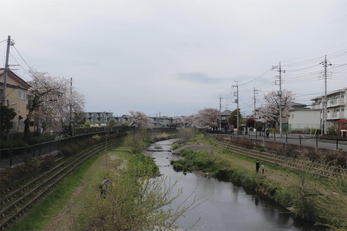 a0332275_17065411.jpg