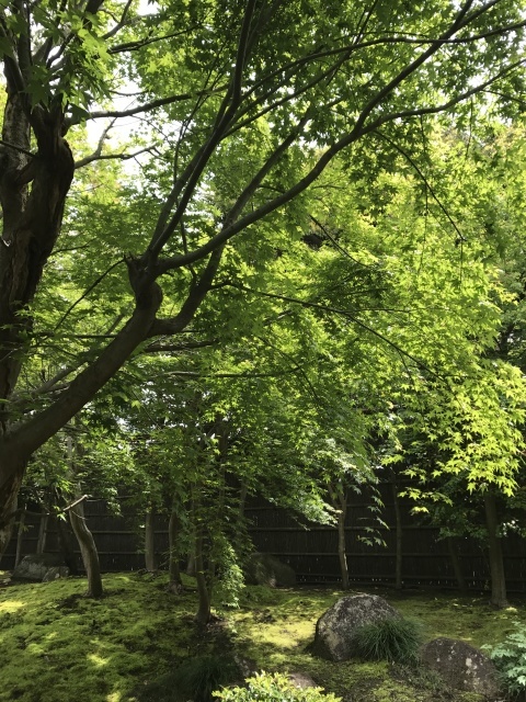 a0180279_08304431.jpg