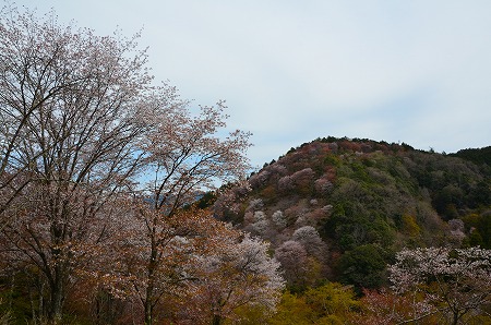 c0229483_2105919.jpg