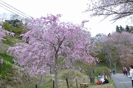 c0229483_2133589.jpg