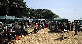 f0003283_17293152.jpg
