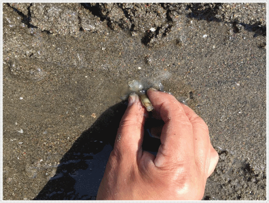 b0175688_21351430.gif
