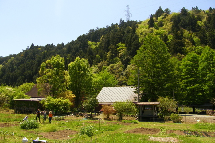 植え付け&種蒔き~~~!!_c0057390_20152560.jpg