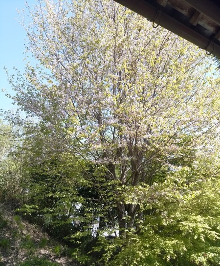 a0236300_22042991.jpg