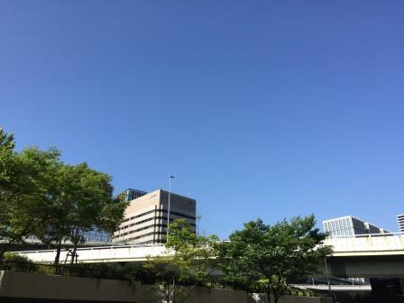 b0128101_16431219.jpg