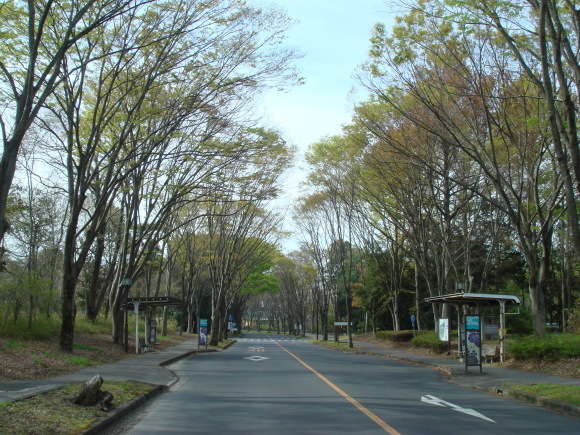 少年よ大志を抱け_f0198201_18121721.jpg