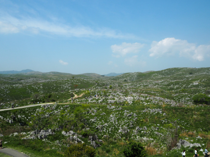 a0003102_06521459.jpg