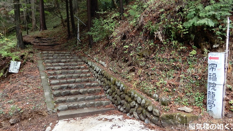 コミック「ヤマノススメ」舞台探訪016  高水三山の岩茸石山へゆるふわ登山(百十七合目)_e0304702_09555483.jpg