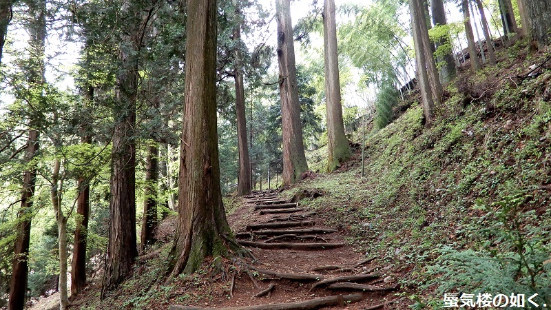 コミック「ヤマノススメ」舞台探訪016  高水三山の岩茸石山へゆるふわ登山(百十七合目)_e0304702_09561159.jpg