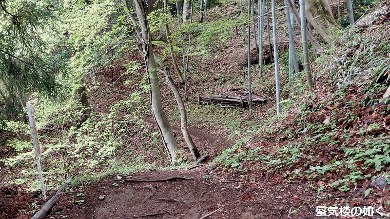 コミック「ヤマノススメ」舞台探訪016  高水三山の岩茸石山へゆるふわ登山(百十七合目)_e0304702_09564978.jpg