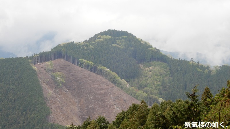 コミック「ヤマノススメ」舞台探訪016  高水三山の岩茸石山へゆるふわ登山(百十七合目)_e0304702_18345828.jpg