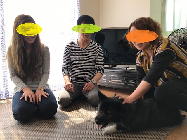 モッチャン 新生活スタート!_f0242002_12393580.jpg