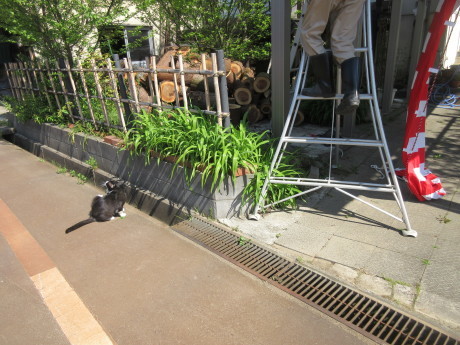 a0203003_09253550.jpg