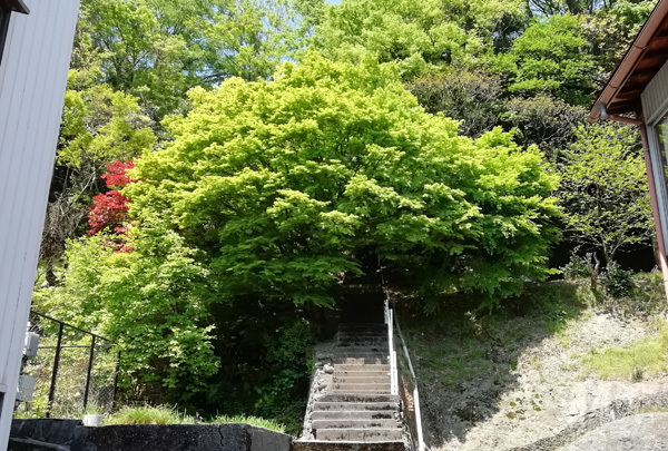 d0093903_22064047.jpg