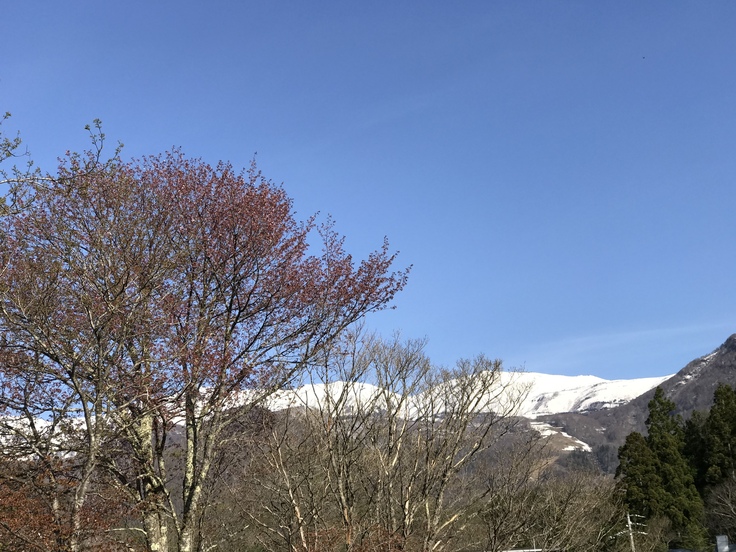 白馬からおはようございます〜♪_c0212604_7202273.jpg