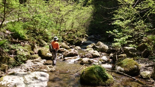 b0172805_07101621.jpg
